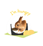 ウサたんのメープルちゃんはいつも元気（個別スタンプ：1）