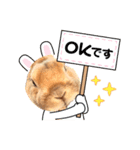 ウサたんのメープルちゃんはいつも元気（個別スタンプ：3）