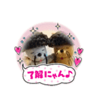 ニャガ田さんスタンプ（個別スタンプ：6）