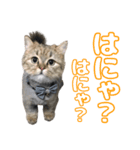 エレンちゃん（個別スタンプ：2）