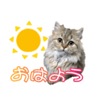 エレンちゃん（個別スタンプ：4）