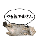 エレンちゃん（個別スタンプ：6）