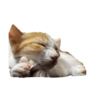 猫 パフェ（個別スタンプ：4）
