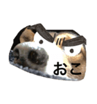 愛犬をスタンプにしました✨（個別スタンプ：4）