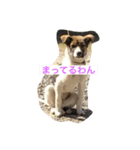 愛犬、愛猫をスタンプにしてみました❤（個別スタンプ：4）