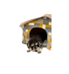 かいくん☆☆☆☆☆☆（個別スタンプ：1）