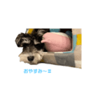 かいくん☆☆☆☆☆☆（個別スタンプ：2）