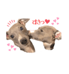ひまりくハッピーセット（個別スタンプ：16）