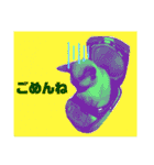 猫(トンキニーズ)の日常会話（個別スタンプ：10）