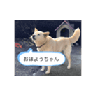 ハナさんver.1（個別スタンプ：1）