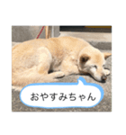 ハナさんver.1（個別スタンプ：2）
