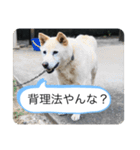 ハナさんver.1（個別スタンプ：8）