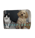 意外と使えるはずなスタンプ（個別スタンプ：1）
