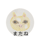 意外と使えるはずなスタンプ（個別スタンプ：23）