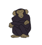 チンパンジーのスタンプ（個別スタンプ：2）