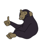 チンパンジーのスタンプ（個別スタンプ：3）