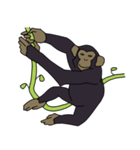 チンパンジーのスタンプ（個別スタンプ：4）