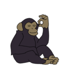 チンパンジーのスタンプ（個別スタンプ：5）