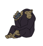 チンパンジーのスタンプ（個別スタンプ：8）