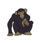 チンパンジーのスタンプ（個別スタンプ：12）