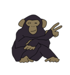 チンパンジーのスタンプ（個別スタンプ：16）