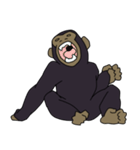 チンパンジーのスタンプ（個別スタンプ：17）
