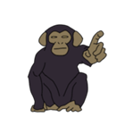チンパンジーのスタンプ（個別スタンプ：19）