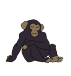 チンパンジーのスタンプ（個別スタンプ：20）