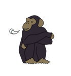 チンパンジーのスタンプ（個別スタンプ：24）