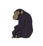 チンパンジーのスタンプ（個別スタンプ：25）