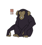 チンパンジーのスタンプ（個別スタンプ：28）