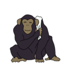 チンパンジーのスタンプ（個別スタンプ：29）