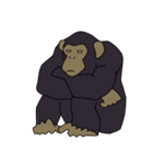 チンパンジーのスタンプ（個別スタンプ：34）
