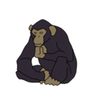 チンパンジーのスタンプ（個別スタンプ：36）