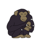 チンパンジーのスタンプ（個別スタンプ：37）