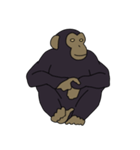 チンパンジーのスタンプ（個別スタンプ：38）