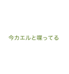 アザラシ•ココア君（個別スタンプ：5）