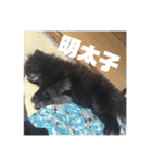 ごみすたんぷ。（個別スタンプ：14）