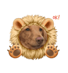 めいちゃん3（個別スタンプ：1）