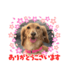 めいちゃん3（個別スタンプ：2）