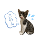 世界で1番かわいいももちゃんスタンプ②（個別スタンプ：2）