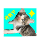 世界で1番かわいいももちゃんスタンプ②（個別スタンプ：7）
