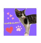 世界で1番かわいいももちゃんスタンプ②（個別スタンプ：12）