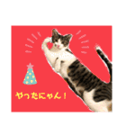 世界で1番かわいいももちゃんスタンプ②（個別スタンプ：15）