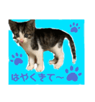 世界で1番かわいいももちゃんスタンプ②（個別スタンプ：16）