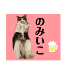 世界で1番かわいいももちゃんスタンプ②（個別スタンプ：22）