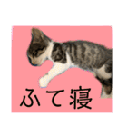 世界で1番かわいいももちゃんスタンプ②（個別スタンプ：23）