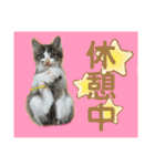 世界で1番かわいいももちゃんスタンプ②（個別スタンプ：26）