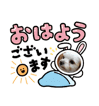 ムサシ＆くぅ（個別スタンプ：1）