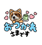 ムサシ＆くぅ（個別スタンプ：4）